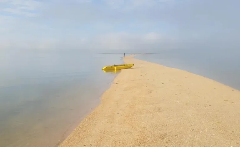 Every unit we sell is proudly crafted in America, built with precision, strength, and passion